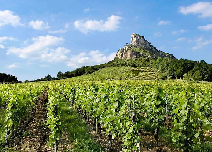 Centraal gelegen hotel: Hotel Mercure Macon Bord De Saone